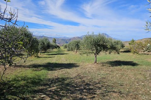 Villa i Collesano, Palermo, Collesano - € 95.000 | Ref: 10518 - foto 7